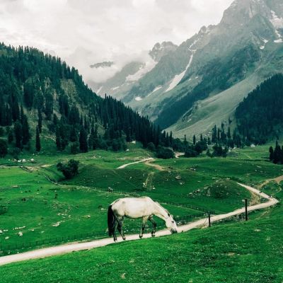 wonderlful Jammu & Kashmir from Ahmedabad/ Rail